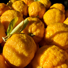 Load image into Gallery viewer, Just Bush Lemon