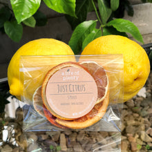 Load image into Gallery viewer, Mini Just Citrus