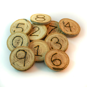 Wooden 0-9 Number Set (large)